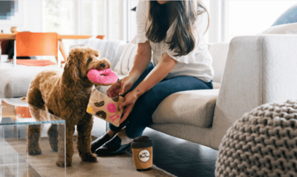 PLAY Pup Cup Cafe Doughboy Donut Take a break met de PLAY Pup Cup Cafe Doughboy Donut. Dit leuke hondenspeeltje in de vorm van een Donut to go mag niet ontbreken in de speelgoed collectie van jouw hond. Want zeg nou eerlijk; een heerlijke verse donut, daar kan je toch elke hond voor wakker maken?! Let op: Er is geen enkel hondenspeelgoed in de wereld wat niet kapot kan. Ondanks de dubbele stiksels, dubbele laag stof aan de buitenkant en de algehele stevigheid van het speelgoed, zou het kapot kunnen gaan. Op hondenspeelgoed zit geen garantie.Kies dus het juiste soort speeltje voor jouw hond zijn kauw- en speelbehoefte. Haal kapotte speeltjes meteen weg en laat jouw hond alleen spelen onder toezicht. Over P.L.A.Y. Hondenspeelgoed PLAY staat bekend om hun fantastische design en vrolijke, aansprekende kleuren. Bij A Lot for Doodles vind je een ruim assortiment van PLAY hondenspeelgoed. Shop naast de Barking Brunch collectie ook de Tropical Paradise Collectie van PLAY in onze shop! PLAY Dog Toys Het hondenspeelgoed van P.L.A.Y. is handgemaakt en de stevige buitenkant en dubbel gestikte randen zorgen voor extra duurzaamheid. De vulling van de speeltjes is gemaakt van gerecycled materiaal. Verder voldoet het hondenspeelgoed van Play aan dezelfde strenge kwaliteitsnormen voor het vervaardigen van baby- en kinderspeelgoed. In de speeltjes worden er AZO-vrije kleurstoffen gebruikt. Daarnaast zijn de speeltjes geschikt voor de wasmachine en droger. P.L.A.Y. hondenspeelgoed Het hondenspeelgoed van PLAY wordt in Amerika ontworpen. Bekend van Instagram Als jij honden volgt via Instagram, dan kan het niet missen dat je de P.L.A.Y. hondenspeeltjes wel eens voorbij hebt zien komen. Niet zo gek want de grappige en levensechte speeltjes zijn perfect voor een geweldige foto samen met jouw hond. Vergeet je A Lot for Doodles niet te taggen op Instagram? PLAY hondenspeeltjes bij A Lot for Doodles Bestel je Play hondenspeelgoed eenvoudig bij A Lot for Doodles. Of je nu een lief en schattig knuffeltje zoekt of een grappige, ondeugende speelkameraad voor je hond, je slaagt zeker weten met het ruime assortiment wat uit voorraad leverbaar is. Heb je vragen over onze producten of advies nodig wat je het beste kunt bestellen? Neem gerust contact met ons op, we helpen je graag verder.