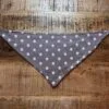 Bandana Star