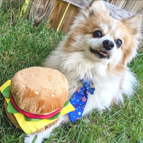 Huxley & Kent Lulubelles Power Plush Hamburger De Huxley & Kent Lulubelles Power Plush Hamburger - het speeltje waar elke hond over blaft! Van dit hondenspeeltje in de vorm van een grote hamburger wordt elke hond blij! Perfect om lekker mee te spelen, knuffelen of te apporteren.  De Huxley & Kent Hamburger is voorzien van een extra laag duurzame Mesh stof, wat zorgt voor extra stevigheid. Dit hondenspeeltje bevat een pieper en kan zowel in de wasmachine als droger. Formaat Huxley & Kent Lulubelles Power Plush Hamburger: 11 cm Let op: Er is geen enkel hondenspeelgoed in de wereld wat niet kapot kan. Ondanks de algehele stevigheid van het speelgoed, zou het kapot kunnen gaan. Op hondenspeelgoed zit geen garantie. Kies dus het juiste soort speeltje voor jouw hond zijn kauw- en speelbehoefte. Haal kapotte speeltjes meteen weg en laat jouw hond alleen spelen onder toezicht. Over Huxley & Kent Huxley & Kent heeft als doel om leuke, modieuze en functionele huisdierproducten te ontwikkelen die uniek zijn voor de branche. Sommige van hun producten lossen problemen op of voorzien in een behoefte, en andere zijn gewoon leuk! Ze houden van wat ze doen en de vreugde die het mensen en hun huisdieren geeft. Hondenspeelgoed Huxley & Kent Huxley & Kent biedt een breed assortiment leuk en duurzaam hondenspeelgoed dat tegemoet komt aan verschillende speelstijlen en voorkeuren. Hun speelgoed staat bekend om hun kwaliteit en duurzaamheid, vaak voorzien van extra lagen duurzaam gaas om ruig spel te weerstaan. Huxley & Kent legt ook de nadruk op veiligheid en functionaliteit in hun ontwerpen, en zorgt ervoor dat hun speelgoed niet alleen vermakelijk is, maar ook veilig voor huisdieren Huxley & Kent Pinwheels en Bow Tie's Huxley & Kent maakt naast hun hondenspeelgoed ook bandana's, strikjes en pinwheels voor honden. Een geweldige accessoire voor aan de halsband van jouw hond. Bij A Lot for Doodles vind je een mooie selectie aan pinwheels, strikjes en Bandana's voor honden. Bekend van Instagram Als jij honden volgt via Instagram, dan kan het niet missen dat je wel eens de mooiste bandana's, strikjes en pinwheels voorbij hebt zien komen. Niet zo gek want de bandana's & strikjes zijn perfect voor een geweldige foto van jouw hond. Vergeet je A Lot for Doodles niet te taggen op Instagram? Bestel Bandana's en strikjes voor honden bij A Lot for Doodles Bestel je bandana's en strikjes voor jouw hond eenvoudig bij A Lot for Doodles. Of je nu een burberry design strik zoekt of een vrolijke bandana, met ons ruime assortiment wat uit voorraad leverbaar is zit er altijd een passende bandana of strik tussen. Ook voor het leukste (interactieve) hondenspeelgoed, shampoo's voor honden en lekkere hondensnacks kun je bij ons terecht. Heb je vragen over onze producten of advies nodig wat je het beste kunt bestellen? Neem gerust contact met ons op, we helpen je graag verder.