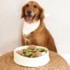 Injoya Chicken and Gravy snuffelschaal voor de hond Maximaal speel- en snuffelplezier met deze snuffel kip en juskom! De Injoya Chicken and Gravy snuffle bowl is niet alleen een super leuk hondenspeeltje, maar stimuleert ook nog eens de hersenen en zintuigen van jouw hond! Onder en in de kippenpoten, en in de bowl zelf, zijn verschillende verstopplekken voor snoepjes. Daarnaast kun je de kippenpoten ook los halen. Jouw hond kan dus maximaal spelen, snuffelen, zoeken en snoepen. De Injoya Chicken and Gravy snuffel bowl gaat verveling tegen en zet jouw hond mentaal aan het werk. Honden willen het liefste werken voor hun voer. Een goede manier om dat te doen is door brokjes te verstoppen in een snuffelspeeltje. Op die manier eten ze ook automatisch langzamer, wat weer beter is voor de spijsvertering. Snuffelspeelgoed stimuleert de zintuigen en de hersenen van de hond. Daarnaast werkt snuffelen en zoeken naar brokjes ontspannend en geeft het jouw hond voldoening. Tip: verstop de heerlijke snacks van Carniwell in deze bowl met kip, en snuffelen maar! Formaat Injoya Chicken and Gravy Snuffle Bowl: ø 27 cm, 7 cm hoog. Gemaakt van vilt en pluche en geschikt voor honden van alle leeftijden. Machine wasbaar op 30 graden. Hoe te gebruiken: Verwijder alle verpakking voor het gebruik. Gebruik de Injoya Chicken and Gravy Snuffle Bowl voor interactieve speeltijd. Met snuffelspeeltjes speel je samen met jouw hond. Jij verstopt de snacks in het speeltje, jouw hond gaat op zoek en jij helpt waar nodig. Laat jouw hond niet gefrustreerd raken en laat jouw hond op kalme wijze zoeken naar de snackies. Voor de hond is de combinatie van een zacht speeltje samen met het zoeken naar snacks een gouden combinatie. Is jouw hond meer van het kapotmaken van speeltjes? Dan haal je het speeltje na iedere snuffelsessie weg en berg je het op voor de volgende keer. Het speeltje is niet gemaakt om op te kauwen of aan te trekken. Niet onbeheerd in een bench of kamer achterlaten. Beschadigde of kapotte snuffelspeeltjes weghalen en vervangen. Injoya Hondenspeelgoed Maak kennis met Injoya, het merk dat staat voor kwaliteit, innovatie en eindeloos speelplezier voor uw hond! Injoya hondenspeelgoed is speciaal ontworpen om honden fysiek én mentaal te stimuleren. Van uitdagende snuffelmatten tot interactieve puzzelspeeltjes – elk product van Injoya is gemaakt met oog voor detail en gericht op het vervullen van de natuurlijke instincten van jouw hond. Mentale stimulatie voor honden De interactieve speeltjes van Injoya helpen honden mentaal scherp te blijven door ze uit te dagen en hun probleemoplossende vaardigheden te verbeteren. Het speelgoed is ontworpen om te voldoen aan het natuurlijke speur- en jaaginstinct van jouw hond, wat zorgt voor een voldaan en tevreden gevoel. Snuffelspeelgoed  Het speelgoed van Injoya biedt niet alleen fysiek vermaak, maar stimuleert ook de hersenen van uw hond. Interactieve speeltjes, zoals snuffelmatten en puzzels, dagen uw hond uit om te zoeken, te ruiken en oplossingen te vinden. Dit zorgt voor een voldane en tevreden hond. Natuurlijke Instincten Bevorderen Honden hebben van nature de behoefte om te snuffelen, jagen en problemen op te lossen. Het speelgoed van Injoya speelt perfect in op deze instincten. Zo help je jouw hond op een leuke manier zijn energie kwijt te raken en verveling te voorkomen. Snuffelmat voor honden De snuffelmatten van Injoya zijn ontworpen om de natuurlijke speurinstincten van honden te stimuleren en verveling tegen te gaan. Deze innovatieve matten bieden uw hond niet alleen eindeloos speelplezier, maar ook een waardevolle mentale uitdaging. Door snoepjes of brokjes in de mat te verstoppen, wordt jouw hond gestimuleerd om zijn neus en hersenen te gebruiken om het lekkers te vinden. Dit maakt snuffelmatten een ideaal hulpmiddel voor mentale stimulatie en gedragsverbetering. Bij A Lot for Doodles vind je een ruim assortiment aan hondenspeelgoed van Injoya. Bijvoorbeeld de Injoya snuffelmatten; ideaal voor het bevorderen van het zoekgedrag en mentale uitdaging. Injoya snuffelspeelgoed; voor honden die van een uitdaging houden en graag met hun pootjes of neus problemen oplossen. Hypoallergene hondensnacks Bij A Lot for Doodles vind je een ruim assortiment aan natuurlijke hypoallergene snacks van Carniwell. De snacks van Carniwell zijn graanvrij, er wordt niets aan toegevoegd en bevatten bovendien één eiwitbron. Hierdoor zijn de Carniwell snacks ook geschikt voor honden met allergieën, voedselintoleranties en voor honden die op dieet zijn. Bestel Injoy Hondenspeelgoed bij A Lot for Doodles Bestel je snuffelmatten en het snuffelspeelgoed van Injoya  eenvoudig bij A Lot for Doodles. Heb je vragen over onze producten of advies nodig wat je het beste kunt bestellen? Neem gerust contact met ons op, we helpen je graag verder.