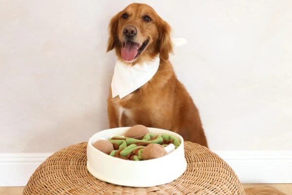 Injoya Chicken and Gravy snuffelschaal voor de hond Maximaal speel- en snuffelplezier met deze snuffel kip en juskom! De Injoya Chicken and Gravy snuffle bowl is niet alleen een super leuk hondenspeeltje, maar stimuleert ook nog eens de hersenen en zintuigen van jouw hond! Onder en in de kippenpoten, en in de bowl zelf, zijn verschillende verstopplekken voor snoepjes. Daarnaast kun je de kippenpoten ook los halen. Jouw hond kan dus maximaal spelen, snuffelen, zoeken en snoepen. De Injoya Chicken and Gravy snuffel bowl gaat verveling tegen en zet jouw hond mentaal aan het werk. Honden willen het liefste werken voor hun voer. Een goede manier om dat te doen is door brokjes te verstoppen in een snuffelspeeltje. Op die manier eten ze ook automatisch langzamer, wat weer beter is voor de spijsvertering. Snuffelspeelgoed stimuleert de zintuigen en de hersenen van de hond. Daarnaast werkt snuffelen en zoeken naar brokjes ontspannend en geeft het jouw hond voldoening. Tip: verstop de heerlijke snacks van Carniwell in deze bowl met kip, en snuffelen maar! Formaat Injoya Chicken and Gravy Snuffle Bowl: ø 27 cm, 7 cm hoog. Gemaakt van vilt en pluche en geschikt voor honden van alle leeftijden. Machine wasbaar op 30 graden. Hoe te gebruiken: Verwijder alle verpakking voor het gebruik. Gebruik de Injoya Chicken and Gravy Snuffle Bowl voor interactieve speeltijd. Met snuffelspeeltjes speel je samen met jouw hond. Jij verstopt de snacks in het speeltje, jouw hond gaat op zoek en jij helpt waar nodig. Laat jouw hond niet gefrustreerd raken en laat jouw hond op kalme wijze zoeken naar de snackies. Voor de hond is de combinatie van een zacht speeltje samen met het zoeken naar snacks een gouden combinatie. Is jouw hond meer van het kapotmaken van speeltjes? Dan haal je het speeltje na iedere snuffelsessie weg en berg je het op voor de volgende keer. Het speeltje is niet gemaakt om op te kauwen of aan te trekken. Niet onbeheerd in een bench of kamer achterlaten. Beschadigde of kapotte snuffelspeeltjes weghalen en vervangen. Injoya Hondenspeelgoed Maak kennis met Injoya, het merk dat staat voor kwaliteit, innovatie en eindeloos speelplezier voor uw hond! Injoya hondenspeelgoed is speciaal ontworpen om honden fysiek én mentaal te stimuleren. Van uitdagende snuffelmatten tot interactieve puzzelspeeltjes – elk product van Injoya is gemaakt met oog voor detail en gericht op het vervullen van de natuurlijke instincten van jouw hond. Mentale stimulatie voor honden De interactieve speeltjes van Injoya helpen honden mentaal scherp te blijven door ze uit te dagen en hun probleemoplossende vaardigheden te verbeteren. Het speelgoed is ontworpen om te voldoen aan het natuurlijke speur- en jaaginstinct van jouw hond, wat zorgt voor een voldaan en tevreden gevoel. Snuffelspeelgoed  Het speelgoed van Injoya biedt niet alleen fysiek vermaak, maar stimuleert ook de hersenen van uw hond. Interactieve speeltjes, zoals snuffelmatten en puzzels, dagen uw hond uit om te zoeken, te ruiken en oplossingen te vinden. Dit zorgt voor een voldane en tevreden hond. Natuurlijke Instincten Bevorderen Honden hebben van nature de behoefte om te snuffelen, jagen en problemen op te lossen. Het speelgoed van Injoya speelt perfect in op deze instincten. Zo help je jouw hond op een leuke manier zijn energie kwijt te raken en verveling te voorkomen. Snuffelmat voor honden De snuffelmatten van Injoya zijn ontworpen om de natuurlijke speurinstincten van honden te stimuleren en verveling tegen te gaan. Deze innovatieve matten bieden uw hond niet alleen eindeloos speelplezier, maar ook een waardevolle mentale uitdaging. Door snoepjes of brokjes in de mat te verstoppen, wordt jouw hond gestimuleerd om zijn neus en hersenen te gebruiken om het lekkers te vinden. Dit maakt snuffelmatten een ideaal hulpmiddel voor mentale stimulatie en gedragsverbetering. Bij A Lot for Doodles vind je een ruim assortiment aan hondenspeelgoed van Injoya. Bijvoorbeeld de Injoya snuffelmatten; ideaal voor het bevorderen van het zoekgedrag en mentale uitdaging. Injoya snuffelspeelgoed; voor honden die van een uitdaging houden en graag met hun pootjes of neus problemen oplossen. Hypoallergene hondensnacks Bij A Lot for Doodles vind je een ruim assortiment aan natuurlijke hypoallergene snacks van Carniwell. De snacks van Carniwell zijn graanvrij, er wordt niets aan toegevoegd en bevatten bovendien één eiwitbron. Hierdoor zijn de Carniwell snacks ook geschikt voor honden met allergieën, voedselintoleranties en voor honden die op dieet zijn. Bestel Injoy Hondenspeelgoed bij A Lot for Doodles Bestel je snuffelmatten en het snuffelspeelgoed van Injoya  eenvoudig bij A Lot for Doodles. Heb je vragen over onze producten of advies nodig wat je het beste kunt bestellen? Neem gerust contact met ons op, we helpen je graag verder.
