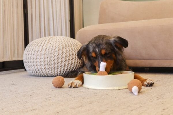 Injoya Chicken and Gravy snuffelschaal voor de hond Maximaal speel- en snuffelplezier met deze snuffel kip en juskom! De Injoya Chicken and Gravy snuffle bowl is niet alleen een super leuk hondenspeeltje, maar stimuleert ook nog eens de hersenen en zintuigen van jouw hond! Onder en in de kippenpoten, en in de bowl zelf, zijn verschillende verstopplekken voor snoepjes. Daarnaast kun je de kippenpoten ook los halen. Jouw hond kan dus maximaal spelen, snuffelen, zoeken en snoepen. De Injoya Chicken and Gravy snuffel bowl gaat verveling tegen en zet jouw hond mentaal aan het werk. Honden willen het liefste werken voor hun voer. Een goede manier om dat te doen is door brokjes te verstoppen in een snuffelspeeltje. Op die manier eten ze ook automatisch langzamer, wat weer beter is voor de spijsvertering. Snuffelspeelgoed stimuleert de zintuigen en de hersenen van de hond. Daarnaast werkt snuffelen en zoeken naar brokjes ontspannend en geeft het jouw hond voldoening. Tip: verstop de heerlijke snacks van Carniwell in deze bowl met kip, en snuffelen maar! Formaat Injoya Chicken and Gravy Snuffle Bowl: ø 27 cm, 7 cm hoog. Gemaakt van vilt en pluche en geschikt voor honden van alle leeftijden. Machine wasbaar op 30 graden. Hoe te gebruiken: Verwijder alle verpakking voor het gebruik. Gebruik de Injoya Chicken and Gravy Snuffle Bowl voor interactieve speeltijd. Met snuffelspeeltjes speel je samen met jouw hond. Jij verstopt de snacks in het speeltje, jouw hond gaat op zoek en jij helpt waar nodig. Laat jouw hond niet gefrustreerd raken en laat jouw hond op kalme wijze zoeken naar de snackies. Voor de hond is de combinatie van een zacht speeltje samen met het zoeken naar snacks een gouden combinatie. Is jouw hond meer van het kapotmaken van speeltjes? Dan haal je het speeltje na iedere snuffelsessie weg en berg je het op voor de volgende keer. Het speeltje is niet gemaakt om op te kauwen of aan te trekken. Niet onbeheerd in een bench of kamer achterlaten. Beschadigde of kapotte snuffelspeeltjes weghalen en vervangen. Injoya Hondenspeelgoed Maak kennis met Injoya, het merk dat staat voor kwaliteit, innovatie en eindeloos speelplezier voor uw hond! Injoya hondenspeelgoed is speciaal ontworpen om honden fysiek én mentaal te stimuleren. Van uitdagende snuffelmatten tot interactieve puzzelspeeltjes – elk product van Injoya is gemaakt met oog voor detail en gericht op het vervullen van de natuurlijke instincten van jouw hond. Mentale stimulatie voor honden De interactieve speeltjes van Injoya helpen honden mentaal scherp te blijven door ze uit te dagen en hun probleemoplossende vaardigheden te verbeteren. Het speelgoed is ontworpen om te voldoen aan het natuurlijke speur- en jaaginstinct van jouw hond, wat zorgt voor een voldaan en tevreden gevoel. Snuffelspeelgoed  Het speelgoed van Injoya biedt niet alleen fysiek vermaak, maar stimuleert ook de hersenen van uw hond. Interactieve speeltjes, zoals snuffelmatten en puzzels, dagen uw hond uit om te zoeken, te ruiken en oplossingen te vinden. Dit zorgt voor een voldane en tevreden hond. Natuurlijke Instincten Bevorderen Honden hebben van nature de behoefte om te snuffelen, jagen en problemen op te lossen. Het speelgoed van Injoya speelt perfect in op deze instincten. Zo help je jouw hond op een leuke manier zijn energie kwijt te raken en verveling te voorkomen. Snuffelmat voor honden De snuffelmatten van Injoya zijn ontworpen om de natuurlijke speurinstincten van honden te stimuleren en verveling tegen te gaan. Deze innovatieve matten bieden uw hond niet alleen eindeloos speelplezier, maar ook een waardevolle mentale uitdaging. Door snoepjes of brokjes in de mat te verstoppen, wordt jouw hond gestimuleerd om zijn neus en hersenen te gebruiken om het lekkers te vinden. Dit maakt snuffelmatten een ideaal hulpmiddel voor mentale stimulatie en gedragsverbetering. Bij A Lot for Doodles vind je een ruim assortiment aan hondenspeelgoed van Injoya. Bijvoorbeeld de Injoya snuffelmatten; ideaal voor het bevorderen van het zoekgedrag en mentale uitdaging. Injoya snuffelspeelgoed; voor honden die van een uitdaging houden en graag met hun pootjes of neus problemen oplossen. Hypoallergene hondensnacks Bij A Lot for Doodles vind je een ruim assortiment aan natuurlijke hypoallergene snacks van Carniwell. De snacks van Carniwell zijn graanvrij, er wordt niets aan toegevoegd en bevatten bovendien één eiwitbron. Hierdoor zijn de Carniwell snacks ook geschikt voor honden met allergieën, voedselintoleranties en voor honden die op dieet zijn. Bestel Injoy Hondenspeelgoed bij A Lot for Doodles Bestel je snuffelmatten en het snuffelspeelgoed van Injoya  eenvoudig bij A Lot for Doodles. Heb je vragen over onze producten of advies nodig wat je het beste kunt bestellen? Neem gerust contact met ons op, we helpen je graag verder.