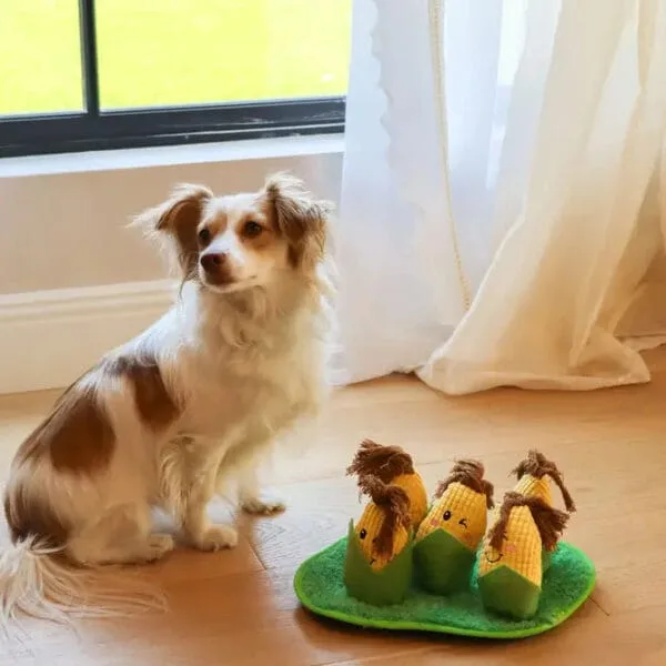 Injoya Injoya Corn Make snuffelspeelgoed voor de hond Maximaal speel- en snuffelplezier met deze snuffel maisveld! De Injoya Corn Make Snuffle Toy is niet alleen een super leuk hondenspeeltje, maar stimuleert ook nog eens de hersenen en zintuigen van jouw hond! Onder en in de maiskolven zijn verschillende verstop-plekken voor snoepjes. Jouw hond kan dus maximaal spelen, snuffelen, zoeken en snoepen. De Injoya Corn Maze snuffelspeelgoed gaat verveling tegen en zet jouw hond mentaal aan het werk. Honden willen het liefste werken voor hun voer. Een goede manier om dat te doen is door brokjes te verstoppen in een snuffelspeeltje. Op die manier eten ze ook automatisch langzamer, wat weer beter is voor de spijsvertering. Snuffelspeelgoed stimuleert de zintuigen en de hersenen van de hond. Daarnaast werkt snuffelen en zoeken naar brokjes ontspannend en geeft het jouw hond voldoening. Tip: verstop de heerlijke snacks van Carniwell in dit leuke maisveld, en snuffelen maar! Formaat Injoya Corn Make Snuffle Toy: ca. 23 x 10 cm. Gemaakt van vilt en pluche en geschikt voor honden van alle leeftijden. Machine wasbaar op 30 graden. Hoe te gebruiken: Verwijder alle verpakking voor het gebruik. Gebruik de Injoya Corn Make Snuffle Toy voor interactieve speeltijd. Met snuffelspeeltjes speel je samen met jouw hond. Jij verstopt de snacks in het speeltje, jouw hond gaat op zoek en jij helpt waar nodig. Laat jouw hond niet gefrustreerd raken en laat jouw hond op kalme wijze zoeken naar de snackies. Voor de hond is de combinatie van een zacht speeltje samen met het zoeken naar snacks een gouden combinatie. Is jouw hond meer van het kapotmaken van speeltjes? Dan haal je het speeltje na iedere snuffelsessie weg en berg je het op voor de volgende keer. Het speeltje is niet gemaakt om op te kauwen of aan te trekken. Niet onbeheerd in een bench of kamer achterlaten. Beschadigde of kapotte snuffelspeeltjes weghalen en vervangen. Injoya Hondenspeelgoed Maak kennis met Injoya, het merk dat staat voor kwaliteit, innovatie en eindeloos speelplezier voor uw hond! Injoya hondenspeelgoed is speciaal ontworpen om honden fysiek én mentaal te stimuleren. Van uitdagende snuffelmatten tot interactieve puzzelspeeltjes – elk product van Injoya is gemaakt met oog voor detail en gericht op het vervullen van de natuurlijke instincten van jouw hond. Mentale stimulatie voor honden De interactieve speeltjes van Injoya helpen honden mentaal scherp te blijven door ze uit te dagen en hun probleemoplossende vaardigheden te verbeteren. Het speelgoed is ontworpen om te voldoen aan het natuurlijke speur- en jaaginstinct van jouw hond, wat zorgt voor een voldaan en tevreden gevoel. Snuffelspeelgoed  Het speelgoed van Injoya biedt niet alleen fysiek vermaak, maar stimuleert ook de hersenen van uw hond. Interactieve speeltjes, zoals snuffelmatten en puzzels, dagen uw hond uit om te zoeken, te ruiken en oplossingen te vinden. Dit zorgt voor een voldane en tevreden hond. Natuurlijke Instincten Bevorderen Honden hebben van nature de behoefte om te snuffelen, jagen en problemen op te lossen. Het speelgoed van Injoya speelt perfect in op deze instincten. Zo help je jouw hond op een leuke manier zijn energie kwijt te raken en verveling te voorkomen. Snuffelmat voor honden De snuffelmatten van Injoya zijn ontworpen om de natuurlijke speurinstincten van honden te stimuleren en verveling tegen te gaan. Deze innovatieve matten bieden uw hond niet alleen eindeloos speelplezier, maar ook een waardevolle mentale uitdaging. Door snoepjes of brokjes in de mat te verstoppen, wordt jouw hond gestimuleerd om zijn neus en hersenen te gebruiken om het lekkers te vinden. Dit maakt snuffelmatten een ideaal hulpmiddel voor mentale stimulatie en gedragsverbetering. Bij A Lot for Doodles vind je een ruim assortiment aan hondenspeelgoed van Injoya. Bijvoorbeeld de Injoya snuffelmatten; ideaal voor het bevorderen van het zoekgedrag en mentale uitdaging. Injoya snuffelspeelgoed; voor honden die van een uitdaging houden en graag met hun pootjes of neus problemen oplossen. Hypoallergene hondensnacks Bij A Lot for Doodles vind je een ruim assortiment aan natuurlijke hypoallergene snacks van Carniwell. De snacks van Carniwell zijn graanvrij, er wordt niets aan toegevoegd en bevatten bovendien één eiwitbron. Hierdoor zijn de Carniwell snacks ook geschikt voor honden met allergieën, voedselintoleranties en voor honden die op dieet zijn. Bestel Injoy Hondenspeelgoed bij A Lot for Doodles Bestel je snuffelmatten en het snuffelspeelgoed van Injoya  eenvoudig bij A Lot for Doodles. Heb je vragen over onze producten of advies nodig wat je het beste kunt bestellen? Neem gerust contact met ons op, we helpen je graag verder.