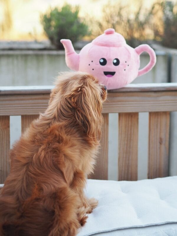 PawStory Missy Tea - Hondenspeeltje  Drink, samen met jouw hond, een kopje thee met de PawStory Missy Tea! Dit schattige hondenspeeltje, in de vorm van een vrolijke theepot, zorgt gegarandeerd voor urenlang speelplezier. Dankzij de ingebouwde pieper wordt jouw hond telkens weer gestimuleerd om actief te blijven spelen. Of het nu gaat om apporteerspelletjes of gewoon een knuffelmaatje, de Missy Tea is de perfecte keuze voor elk theekransje ;) Kenmerken PawStory Missy Tea: Schattig theepot design: Uniek hondenspeelgoed. Met pieper: Stimuleert interactief speelgedrag en houdt je hond actief. Perfect voor spelen en knuffelen: Ideaal voor apporteerspelletjes of gewoon als gezellig knuffelmaatje De PawStory Missy Tea biedt je hond zowel mentale als fysieke stimulatie. Het zachte materiaal is comfortabel voor je hond om mee te spelen, terwijl de pieper zorgt voor extra speelplezier. Geweldig voor alle hondengroottes, maar niet bedoeld voor kauwers. Afmeting PawStory Missy Tea: 18 cm Materiaal: 99% polyester, 1% kunststof (pieper en cellofaan) Ook zo dol op het hondenspeelgoed van PawStory? Je vindt > hier < al het speelgoed van PawStory! Let op: Er is geen enkel hondenspeelgoed in de wereld wat niet kapot kan. Ondanks de algehele stevigheid van het speelgoed, zou het kapot kunnen gaan. Op hondenspeelgoed zit geen garantie. Kies dus het juiste soort speeltje voor jouw hond zijn kauw- en speelbehoefte. Haal kapotte speeltjes meteen weg en laat jouw hond alleen spelen onder toezicht. Over PawStory Hondenspeelgoed PawStory is een jong en dynamisch bedrijf gespecialiseerd in hondenspeelgoed en opgericht in 2021. Ze hebben oog voor mooi design en actuele trends. Ze ontwerpen originele en grappige hondenspeeltjes van goede kwaliteit. PawStory dogtoys Bij PawStory laten ze de hondenspeeltjes produceren bij een hondenspeelgoed fabrikant die al meer dan 20 jaar actief is voor grote merken. PawStory Hondenspeelgoed Het is de missie van PawStory om steeds kleine collecties uit te brengen, zodat ze kunnen inspelen op actuele trends om zo hun collectie te kunnen verbreden. Bij A Lot for Doodles vind je alle collecties van Pawstory. Waarom kiezen voor PawStory? Origineel en speels design Het hondenspeelgoed van PawStory is ontworpen om zowel honden als baasjes blij te maken. De vrolijke en grappige ontwerpen – van leuke snackspeeltjes zoals de "Happy Mayo" tot de Snuffle collectie – maken het spelen extra leuk. Geschikt voor elke hond Van kleine pups tot grote honden, PawStory biedt een breed scala aan speelgoed voor elke maat. Van zachte knuffels tot interactief hondenspeelgoed – er is altijd iets te vinden dat perfect aansluit op de behoeften van jouw viervoeter. Bekend van Instagram Als jij honden volgt via Instagram, dan kan het niet missen dat je de PawStory hondenspeeltjes wel eens voorbij hebt zien komen. Niet zo gek want de grappige speeltjes zijn perfect voor een geweldige foto samen met jouw hond. Vergeet je A Lot for Doodles niet te taggen op Instagram? Bestel PawStory bij de leukste webshop voor honden In onze webshop vind je een uitgebreid aanbod van het nieuwste PawStory-hondenspeelgoed. Of je nu een nieuw speeltje zoekt voor dagelijkse ontspanning of een speciaal cadeau voor je hond, PawStory biedt de perfecte combinatie van kwaliteit en creativiteit. Heb je vragen over onze producten of advies nodig wat je het beste kunt bestellen? Neem gerust contact met ons op, we helpen je graag verder. Geef jouw hond het beste en bestel vandaag nog PawStory-speelgoed voor eindeloos speelplezier!