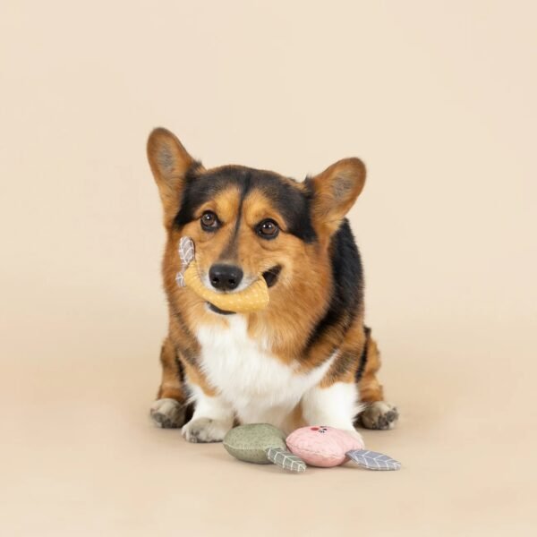 PetShop by Fringe Studio Freshly Picked Canvas hondenspeelgoed Ben je op zoek naar uniek, duurzaam hondenspeelgoed dat ook nog eens geweldig oogt? De PetShop by Fringe Studio Freshly Picked Canvas is dé perfecte keuze voor jouw hond! Dit leuke hondenspeeltje, geïnspireerd door verse groenten, combineert stijl met functionaliteit. Het speelgoed is gemaakt van stevig canvas, wat het extra duurzaam maakt voor intensief speelplezier. Dit speeltje heeft een ingebouwde pieper die je hond stimuleert om actief te blijven spelen, ideaal voor apporteerspelletjes of om mee te knuffelen. Het vrolijke en kleurrijke ontwerp zorgt ervoor dat dit speeltje niet alleen een favoriet van je hond wordt, maar ook een stijlvolle toevoeging aan je interieur. Geef je hond een frisse, speelse twist met dit stijlvolle hondenspeelgoed dat er net zo goed uitziet als het speelt! Kenmerken PetShop by Fringe Studio Freshly Picked Canvas: Duurzaam canvas materiaal: Gemaakt van stevig en slijtvast canvas, perfect voor honden die graag kauwen. Met pieper: Voor extra speelplezier en stimulatie. Leuk en uniek design: Geïnspireerd op vers geplukte groenten, een echte eyecatcher. Geschikt voor honden van alle formaten: Dit speelgoed is perfect voor kleine tot grote honden. Veilig en hondvriendelijk: Geen schadelijke materialen, zodat jouw hond veilig kan spelen Geweldig voor alle hondengroottes, maar niet bedoeld voor agressieve kauwers. Afmeting PetShop by Fringe Studio Freshly Picked Canvas: Lemon: 15 x 6 cm, Peer: 15 x 7,5 cm, Appel: 12,5 x 7,5 cm  Het speeltje is niet gemaakt om op te kauwen of aan te trekken. Niet onbeheerd in een bench of kamer achterlaten. Beschadigde of kapotte hondenspeeltjes weghalen en vervangen. PetShop by Fringe Studio Hondenspeelgoed Wij zijn trots om het populaire merk 'Petshop by Fringe Studio' met jullie te kunnen delen. Petshop by Fringe Studio is een merk dat bekend staat om zijn stijlvolle en speelse ontwerpen. Als je op zoek bent naar hondenspeelgoed dat niet alleen functioneel is, maar er ook nog eens prachtig uitziet, dan zit je met dit merk helemaal goed. Stijlvol en uniek hondenspeelgoed voor elke hond Het speelgoed van Petshop by Fringe Studio valt direct op door zijn unieke en creatieve ontwerpen. Of je nu een hondenspeeltje zoekt in de vorm van een grappige cactus, een schattige eenhoorn of een luxe fles champagne, bij dit merk vind je altijd iets bijzonders. De ontwerpen zijn speels, kleurrijk en vaak voorzien van grappige details die zowel honden als hun baasjes doen glimlachen. Duurzaam hondenspeelgoed Naast het leuke design is het speelgoed van Fringe Studio ook gemaakt van duurzame materialen die tegen een stootje kunnen. Of je hond nu graag knuffelt, kauwt of apporteert, dit speelgoed is ontworpen om langdurig speelplezier te bieden. Het is gemaakt van hoogwaardige stoffen en voorzien van piepers en andere geluidseffecten die de aandacht van je hond blijven trekken. Voor elke hond wat wils Fringe Studio biedt een breed scala aan hondenspeelgoed dat geschikt is voor honden van alle maten en leeftijden. Van zachte knuffels voor de pup tot stevig kauwspeelgoed voor de volwassen hond. Er is voor iedere hond een passend speeltje te vinden. Het speelgoed is bovendien veilig, zodat je zonder zorgen je hond kunt laten genieten. Shop Petshop by Fringe Studio bij A Lot for Doodles In onze webshop vind je een uitgebreide collectie van Petshop by Fringe Studio, altijd up-to-date met de nieuwste trends en collecties. Of je nu een verjaardagscadeautje zoekt voor je hond of gewoon een leuk speeltje om de dag op te vrolijken, bij ons ben je aan het juiste adres. Blader door ons assortiment en geef je trouwe viervoeter het beste speelgoed, waar hij gegarandeerd dol op zal zijn! Heb je vragen over onze producten of advies nodig wat je het beste kunt bestellen? Neem gerust contact met ons op, we helpen je graag verder.