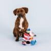 PetShop by Fringe Studio Ships Ahoy