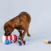 PetShop by Fringe Studio Ships Ahoy