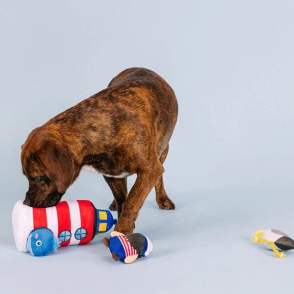 PetShop by Fringe Studio Ships Ahoy