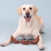 Wagsdale Making Ends Meat - Pluchen BBQ hondenspeeltje Dol op BBQ'en? Maak dan kennis met de Wagsdale Making Ends Meat, het perfecte knuffelspeeltje voor honden die dol zijn op chillen en grillen! Dit schattige speeltje in de vorm van worstjes is niet alleen een feest voor het oog, maar ook een waar genot voor je hond. Met een pieper in elk worstje zorgt dit knuffelspeeltje voor eindeloos speelplezier en stimuleert het de nieuwsgierigheid van je viervoeter. Gemaakt van superzacht pluche, is Making Ends Meat van Wagsdale ideaal voor knuffelen en apporteren. Dit schattige speeltje biedt comfort en vreugde voor honden van alle groottes, waardoor het een geweldige aanvulling is op de speelgoedcollectie van je hond.  Waarom kiezen voor Wagsdale - Making Ends Meat? Vrolijk ontwerp: Een schattige knuffel die de aandacht van je pup trekt en uitnodigt tot spelen. Ingebouwde piepers: Elk worstje heeft een pieper voor extra interactie en plezier tijdens het spelen. Zacht en pluche materiaal: Comfortabel om mee te knuffelen en perfect voor honden van alle groottes. Veilig en huisdiervriendelijk: Gemaakt van niet-giftige materialen voor zorgeloos spelen. Ideaal voor chillen en zacht spelen: Perfect voor pups die houden van relaxen en knuffelen. Met de Making Ends Meat geef je jouw hond een knuffelvriend die niet alleen leuk is om mee te spelen, maar ook gezelligheid biedt tijdens rustige momenten. Dit speeltje is een geweldige manier om je hond gelukkig en actief te houden. Bestel de Wagsdale  Making Ends Meat vandaag en laat je hond genieten van dit onweerstaanbare knuffelspeeltje dat perfect is voor chillen en spelen! Formaat Wagsdale Making Ends Meat: 6,5 x 46 cm. Geweldig voor honden van alle groottes, maar niet bedoeld voor kauwers. Let op: Er is geen enkel hondenspeelgoed in de wereld wat niet kapot kan. Ondanks de algehele stevigheid van het speelgoed, zou het kapot kunnen gaan. Op hondenspeelgoed zit geen garantie. Kies dus het juiste soort speeltje voor jouw hond zijn kauw- en speelbehoefte. Haal kapotte speeltjes meteen weg en laat jouw hond alleen spelen onder toezicht. Ontdek Wagsdale: Plezier en Kwaliteit voor Jouw Hond! Wagsdale staat bekend om zijn unieke en hoogwaardige hondenspeelgoed dat niet alleen leuk is, maar ook veilig en duurzaam. Dit merk is speciaal ontworpen voor honden die houden van avontuur en spelen. Waarom Kiezen voor Wagsdale Hondenspeelgoed? Innovatief Design: Wagsdale is altijd op zoek naar nieuwe manieren om honden te vermaken. Hun speelgoed is niet alleen aantrekkelijk, maar ook uitdagend, waardoor het het natuurlijke speur- en speelgedrag van je hond stimuleert. Duurzaamheid en Veiligheid: Elk stuk speelgoed van Wagsdale is vervaardigd uit hoogwaardige, niet-giftige materialen. Dit betekent dat je hond veilig kan spelen, zonder dat je je zorgen hoeft te maken over schadelijke stoffen. Het duurzame ontwerp zorgt ervoor dat het speelgoed bestand is tegen zelfs de meest enthousiaste kauwers. Voor Elke Hond: Of je nu een kleine puppy of een grote volwassen hond hebt, Wagsdale heeft speelgoed voor alle leeftijden en maten. Het assortiment biedt een scala aan opties, van kauwspeeltjes tot interactieve puzzels, perfect voor elk speeltype. Eindeloos Speelplezier: Met Wagsdale is verveling verleden tijd. Dit merk biedt innovatieve en boeiende producten die zorgen voor urenlang speelplezier, wat helpt om de energie van je hond kwijt te raken en het mentale welzijn te bevorderen. Shop Wagsdale bij A Lot for Doodles ! In onze webshop vind je een uitgebreide selectie van Wagsdale-hondenspeelgoed. Of je nu op zoek bent naar iets om te knuffelen, te kauwen of een uitdaging te bieden, wij hebben het allemaal! Geef je hond het speelgoed dat hij verdient en zie hoe zijn ogen oplichten van vreugde. Met Wagsdale haal je niet alleen een geweldig product in huis, maar investeer je ook in het welzijn en de blijdschap van je trouwe viervoeter. Bezoek onze webshop en ontdek de magie van Wagsdale vandaag nog! Heb je vragen over onze producten of advies nodig wat je het beste kunt bestellen? Neem gerust contact met ons op, we helpen je graag verder! Bekend van Instagram Als jij honden volgt via Instagram, dan kan het niet missen dat je de Wagsdale hondenspeeltjes wel eens voorbij hebt zien komen. Niet zo gek want de grappige speeltjes zijn perfect voor een geweldige foto samen met jouw hond. Vergeet je A Lot for Doodles niet te taggen op Instagram?