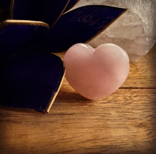 Rozenkwarts Hart Edelsteen Hanger 1 Rozenkwarts Hart Edelsteen Hanger - Energie en harmonie dichtbij jouw hart Draag de kracht van liefde en zachtheid met deze prachtige Rozenkwarts Hart Edelsteen Hanger. Rozenkwarts staat symbool voor verbondenheid en harmonie en is perfect om dagelijks te dragen. De Rozenkwarts Hart Edelsteen Hanger wordt geleverd aan een zwart verstelbaar waskoord. Waarom kiezen voor een Rozenkwarts Hart Edelsteen Hanger? Rozenkwarts staat bekend als de steen van onvoorwaardelijke liefde. Het helpt je om liefdevolle energie uit te stralen, niet alleen naar jezelf, maar ook naar de mensen en dieren om je heen. Deze edelsteen bevordert rust en emotionele balans, waardoor je met een warm hart en een kalme geest door het leven kunt gaan. Laat je omringen door liefde en harmonie, waar je ook bent. Bestel nu jouw Rozenkwarts Hart Edelsteen Hanger en straal warmte en verbondenheid uit! Werking Rozenkwarts Rozenkwarts staat bekend om zijn zachte, liefdevolle energie en werkt als een krachtige bron van emotionele heling en harmonie. Deze steen bevordert onvoorwaardelijke liefde, niet alleen naar anderen, jouw hond, maar ook naar jezelf. Door het dragen van een Rozenkwarts hanger voel je je meer verbonden met je emoties en krijg je ondersteuning bij het loslaten van negatieve gevoelens zoals stress, boosheid of verdriet. Rozenkwarts opent het hartchakra, waardoor je beter in staat bent om liefde te ontvangen en te geven. Het brengt rust en balans in je leven en helpt je om met compassie naar jezelf en de wereld te kijken. Een Rozenkwarts hanger is niet alleen een prachtig sieraad, maar ook een waardevolle metgezel voor iedereen die liefde, kalmte en innerlijke vrede wil ervaren. Geef een edelsteen cadeau Deze hartvormige hanger, gemaakt van natuurlijke Rozenkwarts, is een perfect cadeau voor jezelf of voor een andere hondenliefhebber. Zijn zachte roze kleur en krachtige energie maken hem tot een sieraad dat niet alleen prachtig is, maar ook betekenisvol. Of het nu gaat om een verjaardag, een speciale gelegenheid, of gewoon een blijk van waardering – met de Rozenkwarts Hart Edelsteen Hanger geef je altijd een persoonlijk cadeau. Tip: Combineer de Rozenkwarts Hart Edelsteen Hanger met een van onze edelsteen halsband hangers voor je hond, zodat jullie samen de liefdevolle kracht van Rozenkwarts kunnen delen. Let op: Elke steen is uniek. De kleur kan afwijken en de steen kan oneffenheden bevatten. Het is een natuurproduct en is daarom niet 100% egaal. De foto's zijn ter indicatie, je ontvangt een soortgelijk product. Edelstenen voor hondenliefhebbers – Balans en Energie voor jou en je hond Bij A Lot for Doodles draait alles om de band tussen jou en je hond. Daarom bieden we niet alleen producten voor jouw viervoeter, maar ook een unieke collectie edelstenen speciaal voor hondenliefhebbers. Edelstenen staan bekend om hun rustgevende en versterkende energieën, en zijn perfect om balans en harmonie te brengen in jouw leven én dat van je hond. Waarom Edelstenen voor de Hondenbaasjes? Persoonlijke energie en rust: Edelstenen kunnen helpen om stress te verminderen, focus te bevorderen en positieve energie aan te trekken. Perfect voor hondenbaasjes die hun dagelijkse routine met extra balans willen verrijken. Symbolische verbinding: Kies een edelsteen die aansluit bij jouw persoonlijkheid of jouw band met je hond. Denk aan stenen die liefde, bescherming of intuïtie versterken – kwaliteiten die je ook in je relatie met je hond terugziet. Draagbaar en decoratief: Gebruik de edelstenen als accessoire, zoals een hanger of armband, of geef ze een plekje in je huis. Zo draag je altijd de energie van de steen bij je of creëer je een rustgevende sfeer in je omgeving. Populaire Edelstenen Rozenkwarts: De steen van liefde en harmonie, perfect om de band met je hond te versterken. Amethist: Bekend om zijn kalmerende eigenschappen, ideaal voor ontspanning na een lange dag. Labradoriet: Voor intuïtie en bescherming, een prachtige keuze voor baasjes die bewust leven. Een Cadeau voor jou én je Hond Onze edelstenen zijn zorgvuldig geselecteerd om jou en je hond te ondersteunen in welzijn en balans. Of je nu op zoek bent naar rust, energie of een bijzondere verbinding, er is altijd een steen die bij jou past. Bovendien zijn edelstenen een uniek cadeau, perfect om jezelf of een mede-hondenliefhebber mee te verrassen. Ontdek de kracht van edelstenen en verrijk je leven én dat van je hond. Bestel vandaag nog en geniet van de energie die deze prachtige stenen in jouw wereld brengen! Volg A Lot for Doodles op Instagram Blijf altijd op de hoogte van de leukste producten voor jouw hond. Volg ons op Instagram en Facebook. Bestel edelstenen hangers bij A Lot for Doodles Bestel je edelstenen hangers eenvoudig bij A Lot for Doodles. Heb je vragen over onze producten of advies nodig? Neem gerust contact met ons op, we helpen je graag verder. Disclaimer: - Edelstenen zullen bij veel klachten ondersteunen, maar kunnen geen medische behandeling of medicatie vervangen. Ga bij klachten altijd naar een arts.