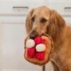IHOP x PLAY Thick N Fluffy French Toast Tijd voor een brunch die piept van plezier! De IHOP x PLAY Thick N Fluffy French Toast is een onweerstaanbaar zacht hondenspeeltje geïnspireerd op het iconische IHOP ontbijt. Luchtige pluche toast, een dotje boter, heerlijk vers fruit bovenop en natuurlijk een vrolijke pieper. Kortom alles wat je nodig hebt voor een paw-fect brunchmoment. Verstop hondensnacks tussen de 'topping' voor extra speelplezier en mentale uitdaging. De IHOP x PLAY Thick N Fluffy French Toast is gemaakt van duurzame, gerecyclede materialen en wasbaar in de machine, zodat het speeltje altijd vers en fluffy blijft. Waarom PLAY hondenspeelgoed Handgemaakt Dubbellaagse buitenkant en versterkte stiksels voor extra duurzaamheid Milieuvriendelijke PlanetFill®-vulling, gemaakt van 100% gecertificeerde, veilige gerecyclede plastic flessen Machinewasbaar (30 graden) en geschikt voor de droger Bevat AZO-vrije kleurstoffen Afmeting IHOP x PLAY Thick N Fluffy French Toast: 16 x 15 x 12 cm Let op: Er is geen enkel hondenspeelgoed in de wereld wat niet kapot kan. Ondanks de dubbele stiksels, dubbele laag stof aan de buitenkant en de algehele stevigheid van het speelgoed, zou het kapot kunnen gaan. Op hondenspeelgoed zit geen garantie.Kies dus het juiste soort speeltje voor jouw hond zijn kauw- en speelbehoefte. Haal kapotte speeltjes meteen weg en laat jouw hond alleen spelen onder toezicht. Over P.L.A.Y. Hondenspeelgoed PLAY staat bekend om hun fantastische design en vrolijke, aansprekende kleuren. PLAY Dog Toys Het hondenspeelgoed van P.L.A.Y. is handgemaakt en de stevige buitenkant en dubbel gestikte randen zorgen voor extra duurzaamheid. De vulling van de speeltjes is gemaakt van gerecycled materiaal. Verder voldoet het hondenspeelgoed van Play aan dezelfde strenge kwaliteitsnormen voor het vervaardigen van baby- en kinderspeelgoed. Zo worden er AZO-vrije kleurstoffen gebruikt en is het geschikt voor de wasmachine en droger. P.L.A.Y. hondenspeelgoed Het hondenspeelgoed van PLAY wordt in Amerika ontworpen. Een collectie hondenspeeltjes van PLAY zijn doorgaans 5 verschillende speeltjes allemaal met hetzelfde thema. Bekend van Instagram Als jij honden volgt via Instagram, dan kan het niet missen dat je de P.L.A.Y. hondenspeeltjes wel eens voorbij hebt zien komen. Niet zo gek want de grappige en levensechte speeltjes zijn perfect voor een geweldige foto samen met jouw hond. Vergeet je A Lot for Doodles niet te taggen op Instagram? PLAY hondenspeeltjes bij A Lot for Doodles Bestel je Play hondenspeelgoed eenvoudig bij A Lot for Doodles. Of je nu een lief en schattig knuffeltje zoekt of een grappige, ondeugende speelkameraad voor je hond, je slaagt zeker weten met het ruime assortiment wat uit voorraad leverbaar is. Heb je vragen over onze producten of advies nodig wat je het beste kunt bestellen? Neem gerust contact met ons op, we helpen je graag verder.