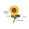 PLAY Blooming Buddies Sassy Sunflower Laat de tuin van je hond tot bloei komen met de PLAY Blooming Buddies Sassy Sunflower! Deze zonnige bloem is perfect voor honden die graag helpen met “tuinieren”  of met graven, slepen en piepen.  De Sassy Sunflower is handgemaakt met een dubbele buitenlaag en extra stevige stiksels voor langdurig speelplezier. Binnenin zit een squeaker die elk potje tuinpret nóg leuker maakt. De zachte vulling is gemaakt van 100% gerecyclede plastic flessen – duurzaam, milieuvriendelijk en veilig voor jouw hond.  Voor de speelse tuinhulp in huis Of jouw hond nu dol is op knuffelen, apporteren of gewoon “assisteren” bij het planten van nieuwe bloemen, de PLAY Blooming Buddies Sassy Sunflower is altijd in bloei. De vrolijke kleuren en het zachte pluche maken dit speeltje onweerstaanbaar. Perfect voor binnen, maar ook voor een zonnig potje buitenspelen in de tuin! Waarom jij en je hond dit geweldig vinden Zacht pluche met stevige afwerking voor langdurig plezier Bevat een pieper voor extra speelplezier Gevuld met 100% gerecyclede plastic flessen (PlanetFill®) Machinewasbaar en geschikt voor de droger Veilig en vrij van schadelijke stoffen Afmeting PLAY Blooming Buddies Sassy Sunflower: 17.0 x 7.2 x 27.9 cm Let op: Er is geen enkel hondenspeelgoed in de wereld wat niet kapot kan. Ondanks de dubbele stiksels, dubbele laag stof aan de buitenkant en de algehele stevigheid van het speelgoed, zou het kapot kunnen gaan. Op hondenspeelgoed zit geen garantie.Kies dus het juiste soort speeltje voor jouw hond zijn kauw- en speelbehoefte. Haal kapotte speeltjes meteen weg en laat jouw hond alleen spelen onder toezicht. Over P.L.A.Y. Hondenspeelgoed PLAY staat bekend om hun fantastische design en vrolijke, aansprekende kleuren. Bij A Lot for Doodles vind je een ruim assortiment van PLAY hondenspeelgoed. Shop naast de Barking Brunch collectie ook de Tropical Paradise Collectie van PLAY in onze shop! PLAY Dog Toys Het hondenspeelgoed van P.L.A.Y. is handgemaakt en de stevige buitenkant en dubbel gestikte randen zorgen voor extra duurzaamheid. De vulling van de speeltjes is gemaakt van gerecycled materiaal. Verder voldoet het hondenspeelgoed van Play aan dezelfde strenge kwaliteitsnormen voor het vervaardigen van baby- en kinderspeelgoed. In de speeltjes worden er AZO-vrije kleurstoffen gebruikt. Daarnaast zijn de speeltjes geschikt voor de wasmachine en droger. P.L.A.Y. hondenspeelgoed Het hondenspeelgoed van PLAY wordt in Amerika ontworpen. Bekend van Instagram Als jij honden volgt via Instagram, dan kan het niet missen dat je de P.L.A.Y. hondenspeeltjes wel eens voorbij hebt zien komen. Niet zo gek want de grappige en levensechte speeltjes zijn perfect voor een geweldige foto samen met jouw hond. Vergeet je A Lot for Doodles niet te taggen op Instagram? PLAY hondenspeeltjes bij A Lot for Doodles Bestel je Play hondenspeelgoed eenvoudig bij A Lot for Doodles. Of je nu een lief en schattig knuffeltje zoekt of een grappige, ondeugende speelkameraad voor je hond, je slaagt zeker weten met het ruime assortiment wat uit voorraad leverbaar is. Heb je vragen over onze producten of advies nodig wat je het beste kunt bestellen? Neem gerust contact met ons op, we helpen je graag verder.