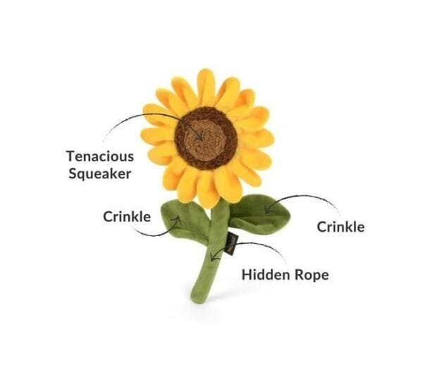 PLAY Blooming Buddies Sassy Sunflower Laat de tuin van je hond tot bloei komen met de PLAY Blooming Buddies Sassy Sunflower! Deze zonnige bloem is perfect voor honden die graag helpen met “tuinieren”  of met graven, slepen en piepen.  De Sassy Sunflower is handgemaakt met een dubbele buitenlaag en extra stevige stiksels voor langdurig speelplezier. Binnenin zit een squeaker die elk potje tuinpret nóg leuker maakt. De zachte vulling is gemaakt van 100% gerecyclede plastic flessen – duurzaam, milieuvriendelijk en veilig voor jouw hond.  Voor de speelse tuinhulp in huis Of jouw hond nu dol is op knuffelen, apporteren of gewoon “assisteren” bij het planten van nieuwe bloemen, de PLAY Blooming Buddies Sassy Sunflower is altijd in bloei. De vrolijke kleuren en het zachte pluche maken dit speeltje onweerstaanbaar. Perfect voor binnen, maar ook voor een zonnig potje buitenspelen in de tuin! Waarom jij en je hond dit geweldig vinden Zacht pluche met stevige afwerking voor langdurig plezier Bevat een pieper voor extra speelplezier Gevuld met 100% gerecyclede plastic flessen (PlanetFill®) Machinewasbaar en geschikt voor de droger Veilig en vrij van schadelijke stoffen Afmeting PLAY Blooming Buddies Sassy Sunflower: 17.0 x 7.2 x 27.9 cm Let op: Er is geen enkel hondenspeelgoed in de wereld wat niet kapot kan. Ondanks de dubbele stiksels, dubbele laag stof aan de buitenkant en de algehele stevigheid van het speelgoed, zou het kapot kunnen gaan. Op hondenspeelgoed zit geen garantie.Kies dus het juiste soort speeltje voor jouw hond zijn kauw- en speelbehoefte. Haal kapotte speeltjes meteen weg en laat jouw hond alleen spelen onder toezicht. Over P.L.A.Y. Hondenspeelgoed PLAY staat bekend om hun fantastische design en vrolijke, aansprekende kleuren. Bij A Lot for Doodles vind je een ruim assortiment van PLAY hondenspeelgoed. Shop naast de Barking Brunch collectie ook de Tropical Paradise Collectie van PLAY in onze shop! PLAY Dog Toys Het hondenspeelgoed van P.L.A.Y. is handgemaakt en de stevige buitenkant en dubbel gestikte randen zorgen voor extra duurzaamheid. De vulling van de speeltjes is gemaakt van gerecycled materiaal. Verder voldoet het hondenspeelgoed van Play aan dezelfde strenge kwaliteitsnormen voor het vervaardigen van baby- en kinderspeelgoed. In de speeltjes worden er AZO-vrije kleurstoffen gebruikt. Daarnaast zijn de speeltjes geschikt voor de wasmachine en droger. P.L.A.Y. hondenspeelgoed Het hondenspeelgoed van PLAY wordt in Amerika ontworpen. Bekend van Instagram Als jij honden volgt via Instagram, dan kan het niet missen dat je de P.L.A.Y. hondenspeeltjes wel eens voorbij hebt zien komen. Niet zo gek want de grappige en levensechte speeltjes zijn perfect voor een geweldige foto samen met jouw hond. Vergeet je A Lot for Doodles niet te taggen op Instagram? PLAY hondenspeeltjes bij A Lot for Doodles Bestel je Play hondenspeelgoed eenvoudig bij A Lot for Doodles. Of je nu een lief en schattig knuffeltje zoekt of een grappige, ondeugende speelkameraad voor je hond, je slaagt zeker weten met het ruime assortiment wat uit voorraad leverbaar is. Heb je vragen over onze producten of advies nodig wat je het beste kunt bestellen? Neem gerust contact met ons op, we helpen je graag verder.