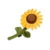 PLAY Blooming Buddies Sassy Sunflower Laat de tuin van je hond tot bloei komen met de PLAY Blooming Buddies Sassy Sunflower! Deze zonnige bloem is perfect voor honden die graag helpen met “tuinieren”  of met graven, slepen en piepen.  De Sassy Sunflower is handgemaakt met een dubbele buitenlaag en extra stevige stiksels voor langdurig speelplezier. Binnenin zit een squeaker die elk potje tuinpret nóg leuker maakt. De zachte vulling is gemaakt van 100% gerecyclede plastic flessen – duurzaam, milieuvriendelijk en veilig voor jouw hond.  Voor de speelse tuinhulp in huis Of jouw hond nu dol is op knuffelen, apporteren of gewoon “assisteren” bij het planten van nieuwe bloemen, de PLAY Blooming Buddies Sassy Sunflower is altijd in bloei. De vrolijke kleuren en het zachte pluche maken dit speeltje onweerstaanbaar. Perfect voor binnen, maar ook voor een zonnig potje buitenspelen in de tuin! Waarom jij en je hond dit geweldig vinden Zacht pluche met stevige afwerking voor langdurig plezier Bevat een pieper voor extra speelplezier Gevuld met 100% gerecyclede plastic flessen (PlanetFill®) Machinewasbaar en geschikt voor de droger Veilig en vrij van schadelijke stoffen Afmeting PLAY Blooming Buddies Sassy Sunflower: 17.0 x 7.2 x 27.9 cm Let op: Er is geen enkel hondenspeelgoed in de wereld wat niet kapot kan. Ondanks de dubbele stiksels, dubbele laag stof aan de buitenkant en de algehele stevigheid van het speelgoed, zou het kapot kunnen gaan. Op hondenspeelgoed zit geen garantie.Kies dus het juiste soort speeltje voor jouw hond zijn kauw- en speelbehoefte. Haal kapotte speeltjes meteen weg en laat jouw hond alleen spelen onder toezicht. Over P.L.A.Y. Hondenspeelgoed PLAY staat bekend om hun fantastische design en vrolijke, aansprekende kleuren. Bij A Lot for Doodles vind je een ruim assortiment van PLAY hondenspeelgoed. Shop naast de Barking Brunch collectie ook de Tropical Paradise Collectie van PLAY in onze shop! PLAY Dog Toys Het hondenspeelgoed van P.L.A.Y. is handgemaakt en de stevige buitenkant en dubbel gestikte randen zorgen voor extra duurzaamheid. De vulling van de speeltjes is gemaakt van gerecycled materiaal. Verder voldoet het hondenspeelgoed van Play aan dezelfde strenge kwaliteitsnormen voor het vervaardigen van baby- en kinderspeelgoed. In de speeltjes worden er AZO-vrije kleurstoffen gebruikt. Daarnaast zijn de speeltjes geschikt voor de wasmachine en droger. P.L.A.Y. hondenspeelgoed Het hondenspeelgoed van PLAY wordt in Amerika ontworpen. Bekend van Instagram Als jij honden volgt via Instagram, dan kan het niet missen dat je de P.L.A.Y. hondenspeeltjes wel eens voorbij hebt zien komen. Niet zo gek want de grappige en levensechte speeltjes zijn perfect voor een geweldige foto samen met jouw hond. Vergeet je A Lot for Doodles niet te taggen op Instagram? PLAY hondenspeeltjes bij A Lot for Doodles Bestel je Play hondenspeelgoed eenvoudig bij A Lot for Doodles. Of je nu een lief en schattig knuffeltje zoekt of een grappige, ondeugende speelkameraad voor je hond, je slaagt zeker weten met het ruime assortiment wat uit voorraad leverbaar is. Heb je vragen over onze producten of advies nodig wat je het beste kunt bestellen? Neem gerust contact met ons op, we helpen je graag verder.