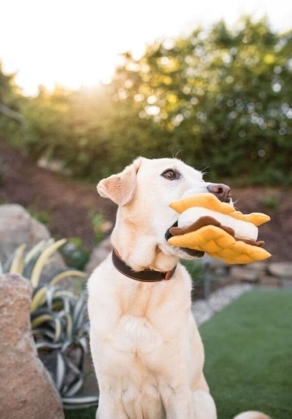 PLAY Camp Corbin Gimme S'more De PLAY Camp Corbin Gimme S’more is niet om op te eten, maar je hond zal er gegarandeerd dol op zijn! De PLAY S'more bestaat uit 2 biscuitjes, een dun laagje "chocolade" en een warme marshmallow vers van het kampvuur. Handgemaakt met een dubbele buitenlaag en extra dikke stiksels voor extra duurzaamheid, perfect voor honden die van spelen én knuffelen houden. De zachte s’more is gevuld met 100% gerecyclede plastic flessen en bevat een leuke squeaker binnenin voor extra speelplezier. Dankzij het stevige ontwerp is dit speeltje bestand tegen enthousiaste spelers, maar blijft het toch zacht voor een knuffelmoment. Kampvuurpret voor jou en je hond Met de PLAY Camp Corbin Gimme S’more geef je je hond een uniek speeltje dat eruitziet alsof het rechtstreeks van het kampvuur komt. Ideaal voor apporteerspelletjes, piepsessies of gewoon een lekker dutje met een pluche vriendje. Je kunt zelfs kleine hondensnoepjes tussen de zachte lagen verstoppen voor een extra mentale uitdaging. Gemaakt van duurzame, gerecyclede materialen en voorzien van een vrolijke pieper die elke speelsessie leuker maakt. De Gimme S’more is ideaal voor honden die houden van knuffelen, spelen en ontdekken. Waarom jij en je hond dit geweldig vinden Zacht pluche met stevige afwerking voor langdurig plezier Bevat een pieper voor extra speelplezier Gevuld met 100% gerecyclede plastic flessen (PlanetFill®) Machinewasbaar en drogerbestendig Veilig: vrij van schadelijke stoffen Afmeting PLAY Camp Corbin Gimme S’more: 14 x 14 x 8 cm Let op: Er is geen enkel hondenspeelgoed in de wereld wat niet kapot kan. Ondanks de dubbele stiksels, dubbele laag stof aan de buitenkant en de algehele stevigheid van het speelgoed, zou het kapot kunnen gaan. Op hondenspeelgoed zit geen garantie.Kies dus het juiste soort speeltje voor jouw hond zijn kauw- en speelbehoefte. Haal kapotte speeltjes meteen weg en laat jouw hond alleen spelen onder toezicht. Over P.L.A.Y. Hondenspeelgoed PLAY staat bekend om hun fantastische design en vrolijke, aansprekende kleuren. Bij A Lot for Doodles vind je een ruim assortiment van PLAY hondenspeelgoed. Shop naast de Barking Brunch collectie ook de Tropical Paradise Collectie van PLAY in onze shop! PLAY Dog Toys Het hondenspeelgoed van P.L.A.Y. is handgemaakt en de stevige buitenkant en dubbel gestikte randen zorgen voor extra duurzaamheid. De vulling van de speeltjes is gemaakt van gerecycled materiaal. Verder voldoet het hondenspeelgoed van Play aan dezelfde strenge kwaliteitsnormen voor het vervaardigen van baby- en kinderspeelgoed. In de speeltjes worden er AZO-vrije kleurstoffen gebruikt. Daarnaast zijn de speeltjes geschikt voor de wasmachine en droger. P.L.A.Y. hondenspeelgoed Het hondenspeelgoed van PLAY wordt in Amerika ontworpen. Bekend van Instagram Als jij honden volgt via Instagram, dan kan het niet missen dat je de P.L.A.Y. hondenspeeltjes wel eens voorbij hebt zien komen. Niet zo gek want de grappige en levensechte speeltjes zijn perfect voor een geweldige foto samen met jouw hond. Vergeet je A Lot for Doodles niet te taggen op Instagram? PLAY hondenspeeltjes bij A Lot for Doodles Bestel je Play hondenspeelgoed eenvoudig bij A Lot for Doodles. Of je nu een lief en schattig knuffeltje zoekt of een grappige, ondeugende speelkameraad voor je hond, je slaagt zeker weten met het ruime assortiment wat uit voorraad leverbaar is. Heb je vragen over onze producten of advies nodig wat je het beste kunt bestellen? Neem gerust contact met ons op, we helpen je graag verder.