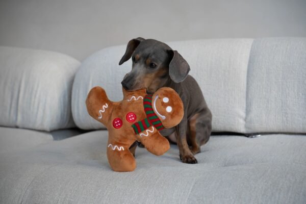 PLAY Holiday Classic Gingerbread Man 1 PLAY Holiday Classic Gingerbread Man