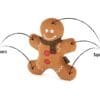 PLAY Holiday Classic Gingerbread Man 2 PLAY Holiday Classic Gingerbread Man Breng de kerstsfeer tot leven met de PLAY Holiday Classic Gingerbread Man – het speelse, super gezellige hondenspeeltje dat zó vrolijk kijkt dat je er spontaan een kerstliedje bij wilt zingen. Dit charmante peperkoekenmannetje is hét ultieme feestmaatje voor elke hond die gek is op knuffelen, spelen en rondhuppelen met zijn favoriete buddy. Met zijn zachte stof, grappige details en feestelijke uitstraling wordt dit Gingerbread Man-speeltje gegarandeerd dé kersthit in huis. Waarom dit speeltje zo onweerstaanbaar is: ✨ Zacht & vriendelijk vormgegeven – Ideaal voor hide and seek spelletjes, knuffelsessies en sneeuwloze winters. ✨ Handgemaakt & extra stevig – Met een dubbele laag stof en versterkte stiksels blijft dit vrolijke mannetje netjes in vorm, zelfs tijdens het enthousiastste spel. ✨ Duurzaam – Het zachte PlanetFill®-materiaal is gemaakt van 100% gerecyclede plastic flessen. Milieuvriendelijk én heerlijk knuffelbaar. ✨ Met ingebouwde squeaker – Voor dat extra beetje kerstmagie. ✨ Makkelijk wasbaar – Machinewasbaar en drogerbestendig; voor wanneer de feestvreugde nét iets te wild wordt. ✨ Veilig gekleurd – vrij van schadelijke stoffen Of jouw hond nu graag paradeert met zijn speelgoed, ermee kroelt in zijn mand of het trots showt aan bezoek: dit vrolijke koekmannetje past perfect in het plaatje. Afmeting PLAY Holiday Classic Gingerbread Man: 20 x 19 x 5 cm Let op: Er is geen enkel hondenspeelgoed in de wereld wat niet kapot kan. Ondanks de dubbele stiksels, dubbele laag stof aan de buitenkant en de algehele stevigheid van het speelgoed, zou het kapot kunnen gaan. Op hondenspeelgoed zit geen garantie.Kies dus het juiste soort speeltje voor jouw hond zijn kauw- en speelbehoefte. Haal kapotte speeltjes meteen weg en laat jouw hond alleen spelen onder toezicht. -- Over P.L.A.Y. Hondenspeelgoed PLAY staat bekend om hun fantastische design en vrolijke, aansprekende kleuren. Bij A Lot for Doodles vind je een ruim assortiment van PLAY hondenspeelgoed. Shop naast de Barking Brunch collectie ook de Tropical Paradise Collectie van PLAY in onze shop! PLAY Dog Toys Het hondenspeelgoed van P.L.A.Y. is handgemaakt en de stevige buitenkant en dubbel gestikte randen zorgen voor extra duurzaamheid. De vulling van de speeltjes is gemaakt van gerecycled materiaal. Verder voldoet het hondenspeelgoed van Play aan dezelfde strenge kwaliteitsnormen voor het vervaardigen van baby- en kinderspeelgoed. In de speeltjes worden er AZO-vrije kleurstoffen gebruikt. Daarnaast zijn de speeltjes geschikt voor de wasmachine en droger. P.L.A.Y. hondenspeelgoed Het hondenspeelgoed van PLAY wordt in Amerika ontworpen. Bekend van Instagram Als jij honden volgt via Instagram, dan kan het niet missen dat je de P.L.A.Y. hondenspeeltjes wel eens voorbij hebt zien komen. Niet zo gek want de grappige en levensechte speeltjes zijn perfect voor een geweldige foto samen met jouw hond. Vergeet je A Lot for Doodles niet te taggen op Instagram? PLAY hondenspeeltjes bij A Lot for Doodles Bestel je Play hondenspeelgoed eenvoudig bij A Lot for Doodles. Of je nu een lief en schattig knuffeltje zoekt of een grappige, ondeugende speelkameraad voor je hond, je slaagt zeker weten met het ruime assortiment wat uit voorraad leverbaar is. Heb je vragen over onze producten of advies nodig wat je het beste kunt bestellen? Neem gerust contact met ons op, we helpen je graag verder.